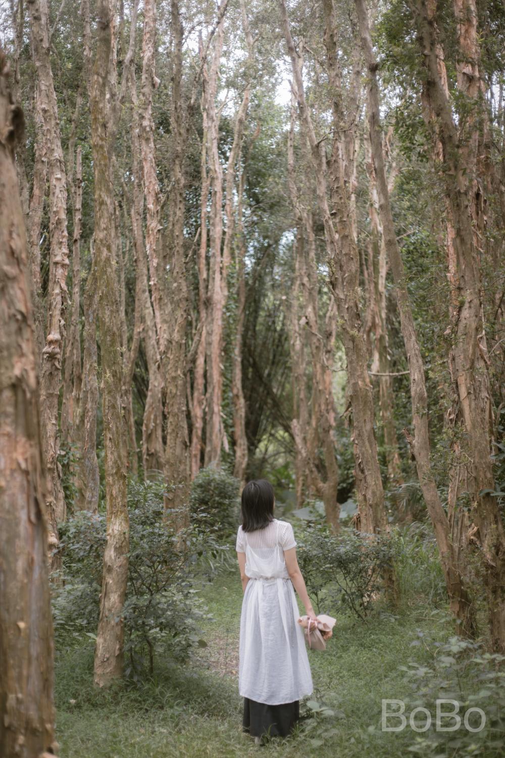 香山森林