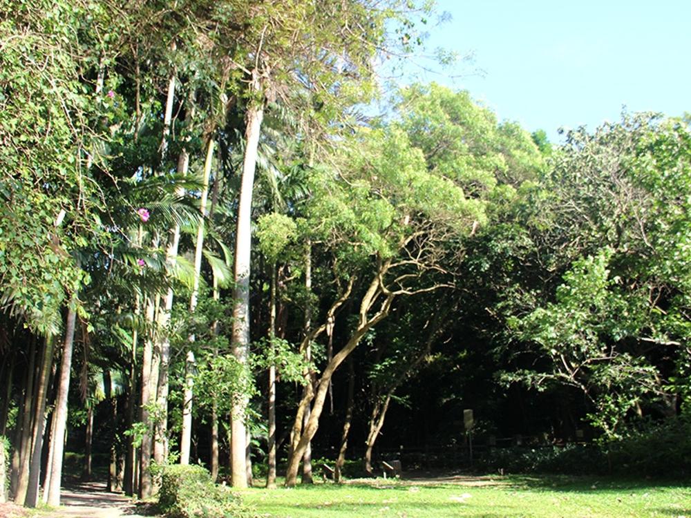 高峰植物園