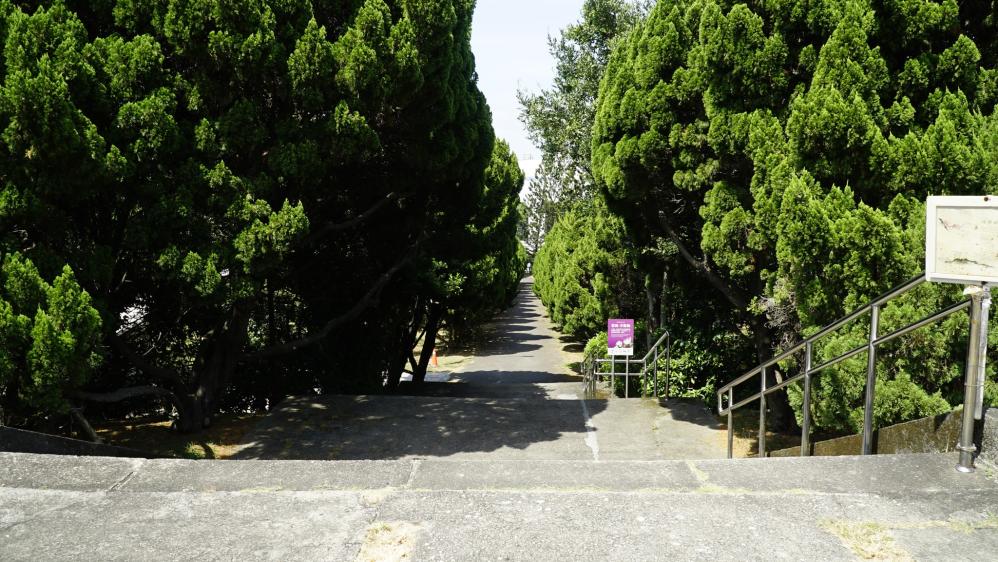 清華大學