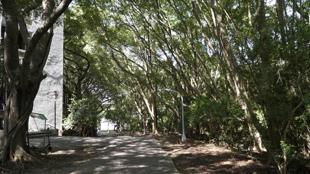 清華大學