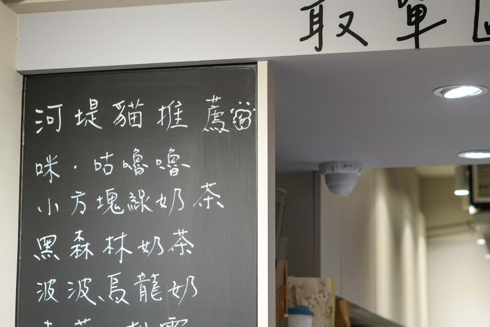 河堤上的貓