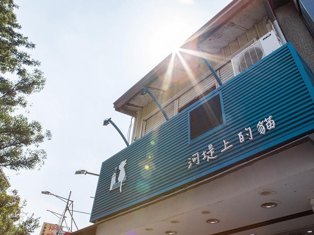 河堤上的貓